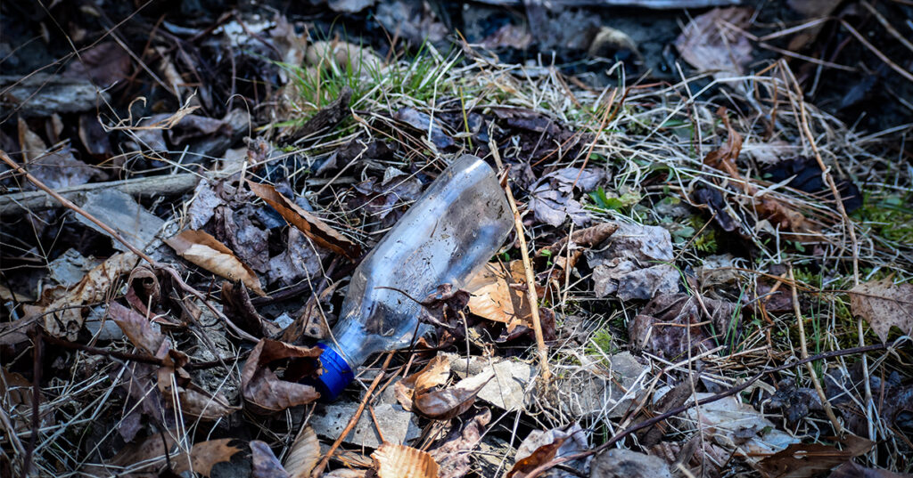 Bottle left in the woods